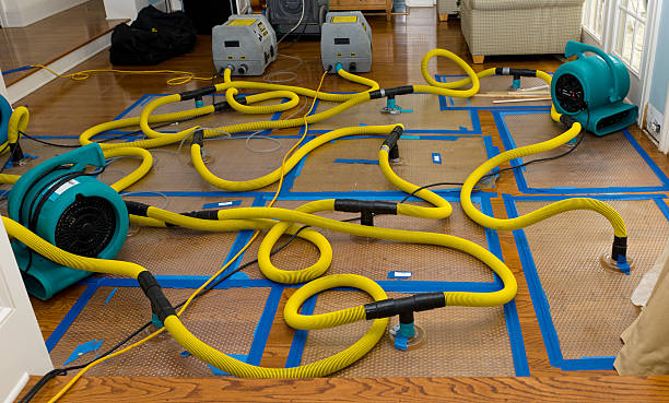 Professional Water Damage Restoration technician working in Monroe Bridge, MA